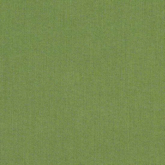 Spectrum Cilantro (A)