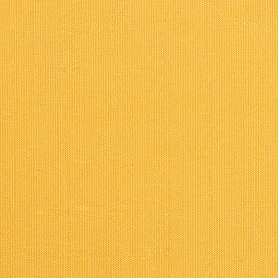 Spectrum Daffodil (A)