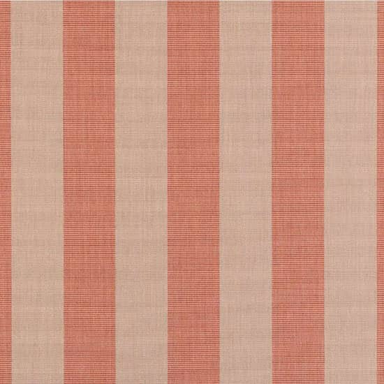 Expressive Blush (B)