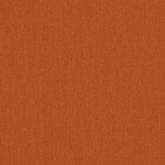 Canvas Rust