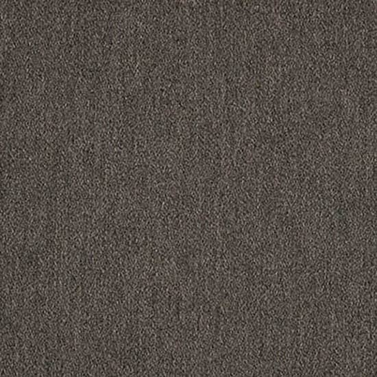 Pashmina Coal (D)