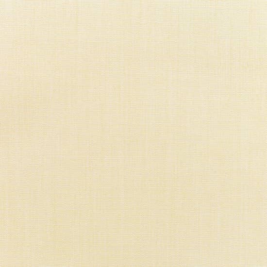 Canvas Vellum