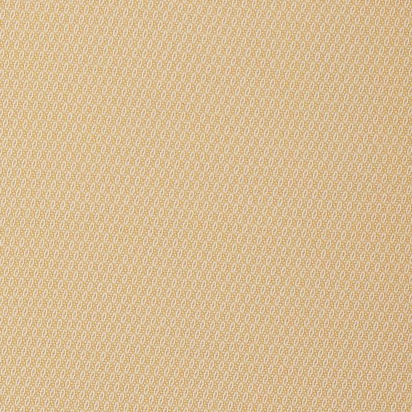 Picture of Bubbly Chick Outdura Fabric Sample