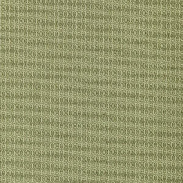 Outdura® Fabric Sample - Etc Asparagus | USA-Made, Solution-Dyed Acrylic