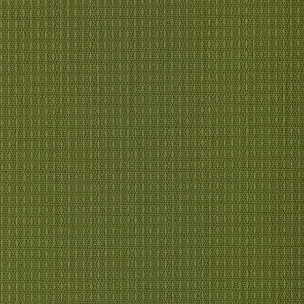 Outdura® Fabric Sample - Etc Grass | USA-Made, Solution-Dyed Acrylic