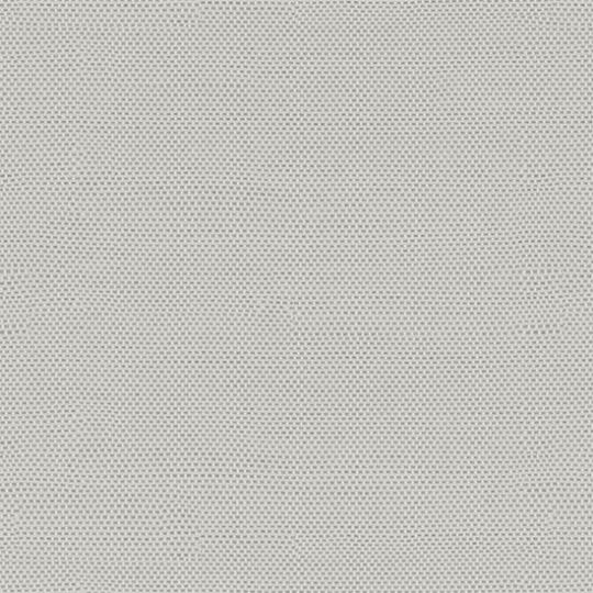 Tempotest® Fabric Sample – Caravaggio Silver | 6" x 6" Outdoor Cushion Fabric Swatch