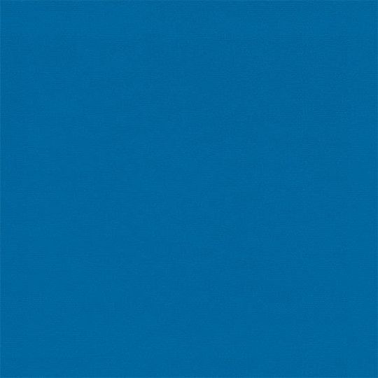 Tempotest® Fabric Sample – Classic Blue Bird | 6" x 6" Outdoor Cushion Fabric Swatch