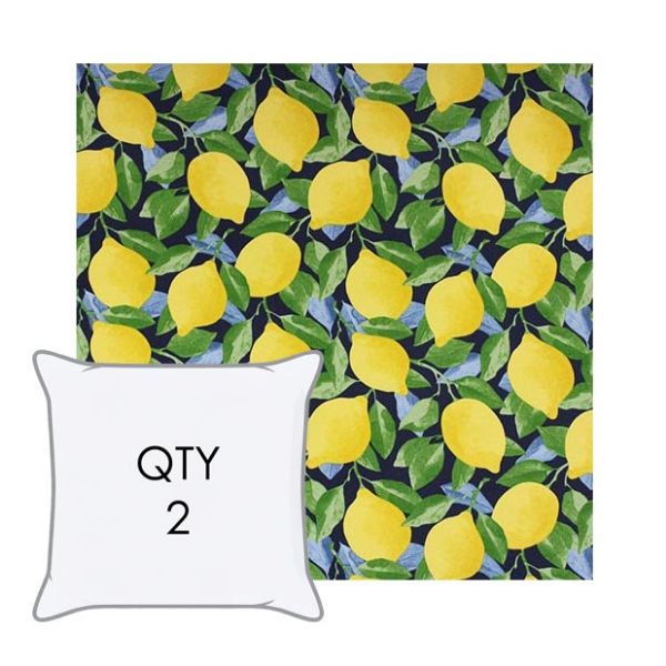 Richloom Solarium Custom Outdoor Pillows | Richloom Solarium® Printed Fabrics | Set of 2