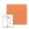 Sunbrella® Canvas Tangerine Patio Umbrella 7.5 ft | Crank Lift & Tilt Garden Umbrella 