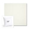 Picture of Canvas White | 22" Square Sunbrella® Outdoor Pillow