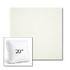 Picture of Canvas White | 20" Square Boxed Sunbrella® Outdoor Pillow (3" Thick)