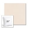 Picture of Cast Bisque | 20" Square Boxed Sunbrella® Outdoor Pillow (3" Thick)