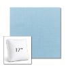Picture of Canvas Air Blue | 17" Square Boxed Sunbrella® Outdoor Pillow (3" Thick)
