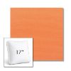 Picture of Canvas Tangerine | 17" Square Boxed Sunbrella® Outdoor Pillow (3" Thick)