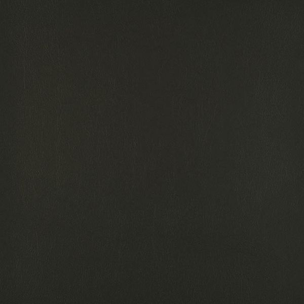 Picture of Atlantis Noir | Agora Outdoor Fabric Sample
