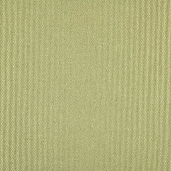 Picture of Liso Oliva | Agora Outdoor Fabric Sample