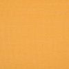 Picture of Liso Oro | Agora Outdoor Fabric Sample