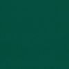 Picture of Forest Green | Sunbrella© Awning & Umbrella Fabric Sample