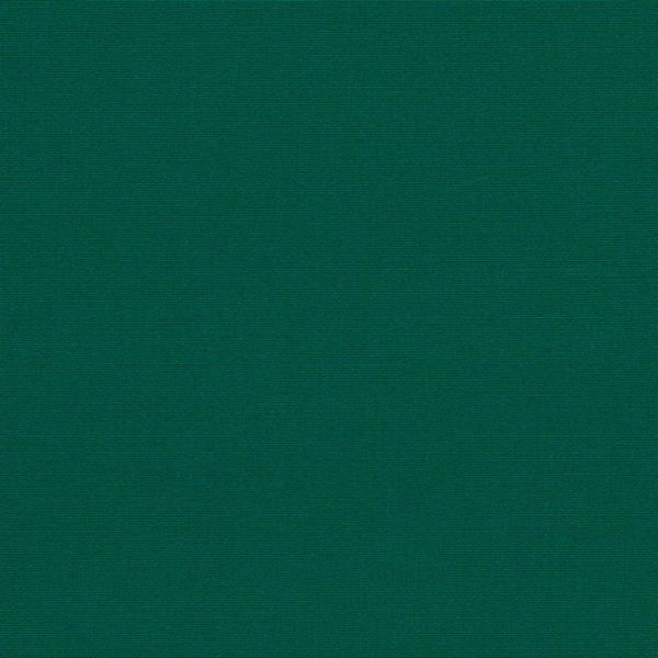 Picture of Forest Green | Sunbrella© Awning & Umbrella Fabric Sample