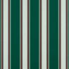 Picture of Forest Green Fancy | Sunbrella© Awning & Umbrella Fabric Sample