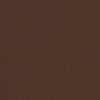 Picture of True Brown | Sunbrella© Awning & Umbrella Fabric Sample