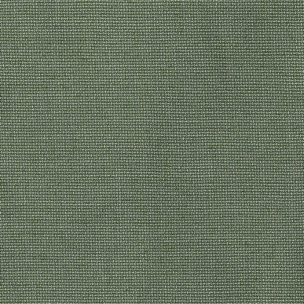 Sunbrella Bliss Aloe outdoor fabric for patio furniture cushions and outdoor pillows
