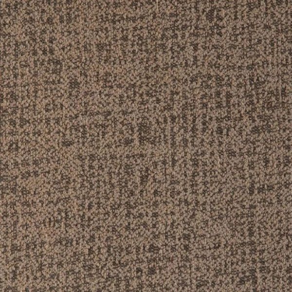 Picture of Abstraction Fossil | Fabric Sample - Sunbrella©