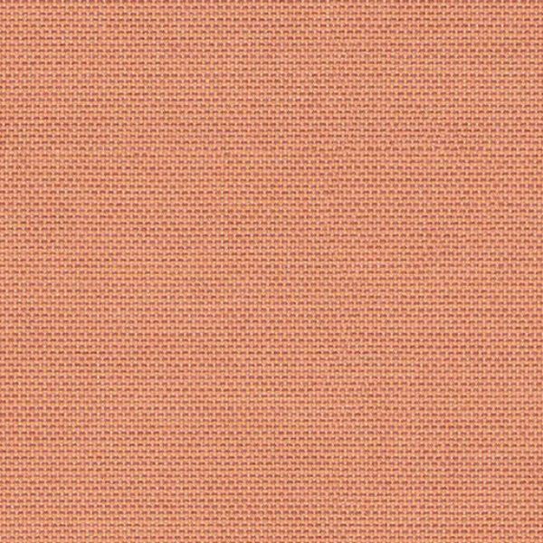 Picture of Canvas Coral | Fabric Sample - Sunbrella©