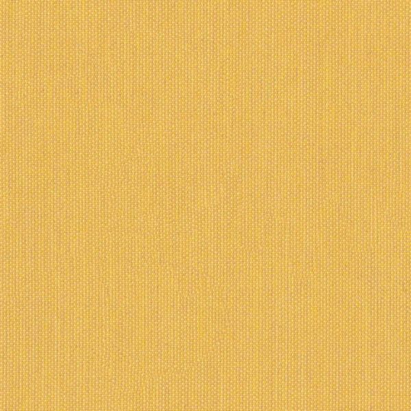 Picture of Canvas Hive | Fabric Sample - Sunbrella©