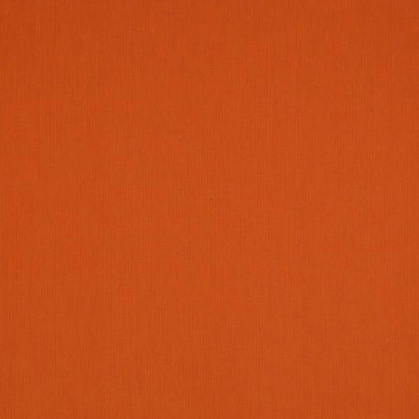 Picture of Canvas Pumpkin | Fabric Sample - Sunbrella©