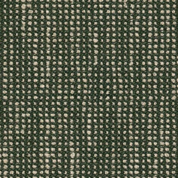 Picture of Slow Fern | Fabric Sample - Sunbrella©