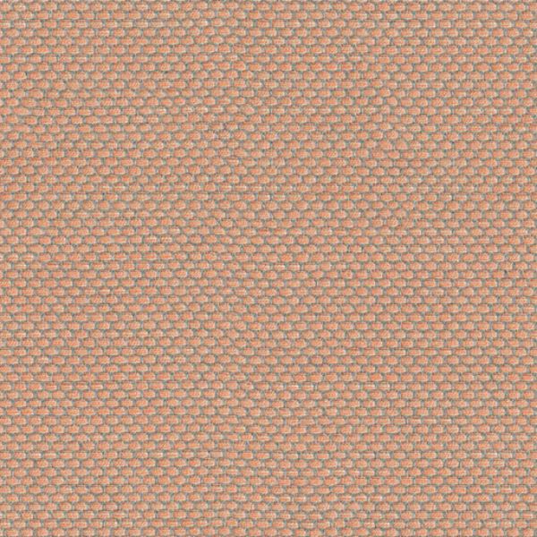 Picture of Wadi Shrimp | Fabric Sample - Sunbrella©