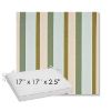 Picture of Gateway Aloe | Sunbrella® 17" x 17" Outdoor Dining Cushion