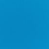 Picture of Canvas Pacific Blue | Sunbrella® 18" x 20" Outdoor Dining Cushion