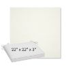 Picture of Canvas White | Sunbrella® 22" x 22" x 3" Outdoor Dining Cushion
