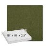 Picture of Ritsy Aloe | Sunbrella® 18" x 18" x 2.5" Outdoor Dining Cushion