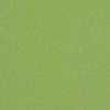 Picture of Canvas Ginkgo | Sunbrella® 20" x 20" x 3" Outdoor Dining Cushion
