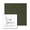 Picture of Abstraction Juniper | Set of 2 | Sunbrella 16" Square Outdoor Throw Pillows with Premium Inserts
