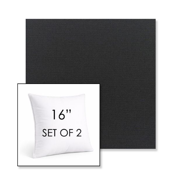 Picture of Canvas Black | Set of 2 | Sunbrella 16" Square Outdoor Throw Pillows with Premium Inserts