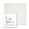 Picture of Idol Snow | Set of 2 | Sunbrella 16" Square Outdoor Throw Pillows with Premium Inserts