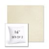 Picture of Posh Salt | Set of 2 | Sunbrella 16" Square Outdoor Throw Pillows with Premium Inserts
