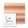 Picture of Valley Desert | Set of 2 | Sunbrella 16" Square Outdoor Throw Pillows with Premium Inserts
