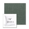 Picture of Willa Aloe | Set of 2 | Sunbrella 16" Square Outdoor Throw Pillows with Premium Inserts