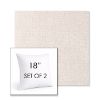 Picture of Abstraction Parchment | Set of 2 | Sunbrella 18" Square Outdoor Throw Pillows with Premium Inserts