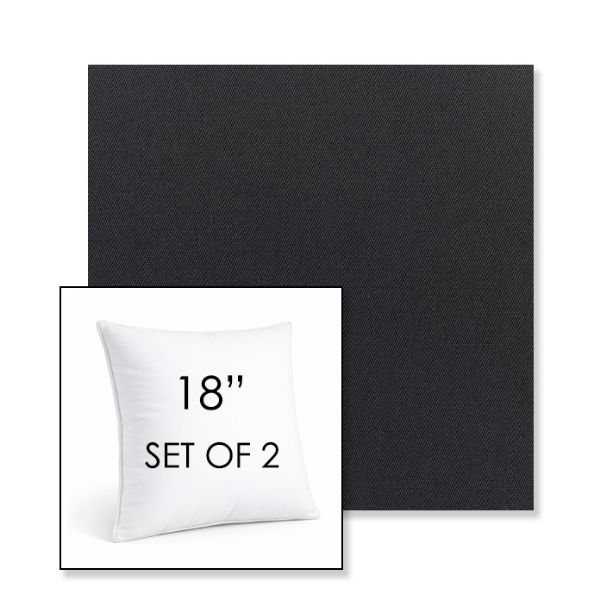 Picture of Canvas Raven Black | Set of 2 | Sunbrella 18" Square Outdoor Throw Pillows with Premium Inserts