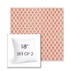 Picture of Detail Persimmon | Set of 2 | Sunbrella 18" Square Outdoor Throw Pillows with Premium Inserts
