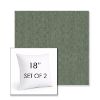 Picture of Natte Agave | Set of 2 | Sunbrella 18" Square Outdoor Throw Pillows with Premium Inserts