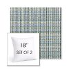 Picture of Principle Lagoon | Set of 2 | Sunbrella 18" Square Outdoor Throw Pillows with Premium Inserts