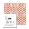 Picture of Detail Persimmon | Set of 2 | Sunbrella 22" Square Outdoor Throw Pillows with Premium Inserts