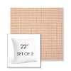 Picture of Kudos Cameo | Set of 2 | Sunbrella 22" Square Outdoor Throw Pillows with Premium Inserts
